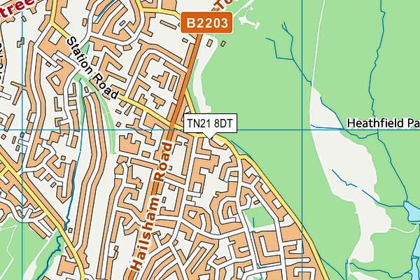 TN21 8DT map - OS VectorMap District (Ordnance Survey) TN21 8DT map - OS VectorMap District (Ordnance Survey)