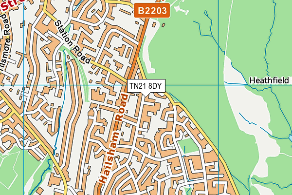 TN21 8DY map - OS VectorMap District (Ordnance Survey) TN21 8DY map - OS VectorMap District (Ordnance Survey)