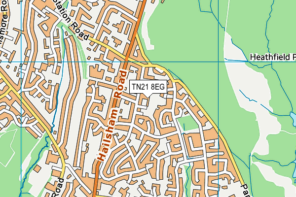 TN21 8EG map - OS VectorMap District (Ordnance Survey) TN21 8EG map - OS VectorMap District (Ordnance Survey)