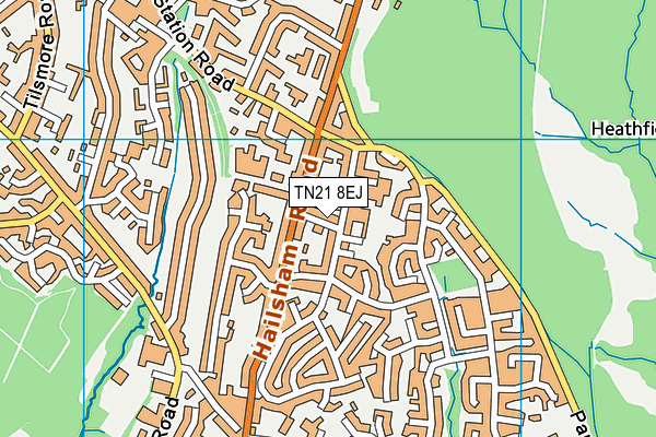 TN21 8EJ map - OS VectorMap District (Ordnance Survey) TN21 8EJ map - OS VectorMap District (Ordnance Survey)