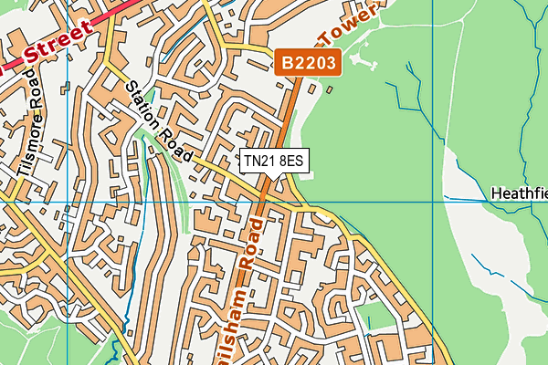 TN21 8ES map - OS VectorMap District (Ordnance Survey) TN21 8ES map - OS VectorMap District (Ordnance Survey)