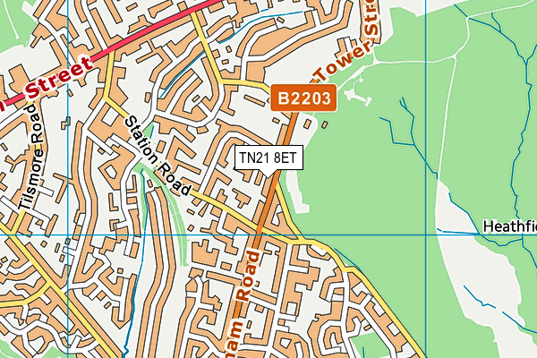 TN21 8ET map - OS VectorMap District (Ordnance Survey) TN21 8ET map - OS VectorMap District (Ordnance Survey)