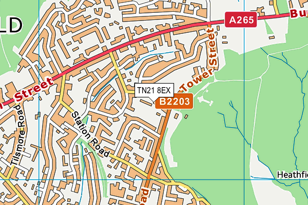 TN21 8EX map - OS VectorMap District (Ordnance Survey) TN21 8EX map - OS VectorMap District (Ordnance Survey)