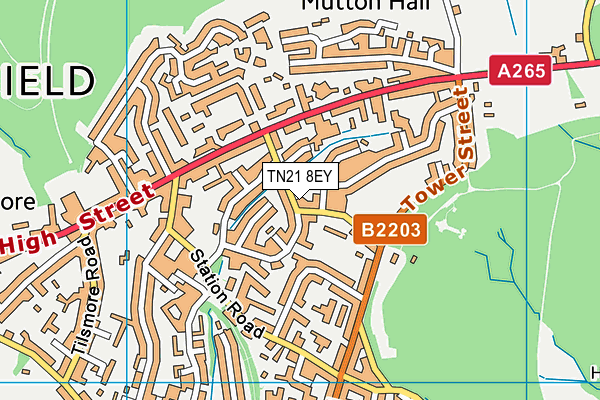 TN21 8EY map - OS VectorMap District (Ordnance Survey) TN21 8EY map - OS VectorMap District (Ordnance Survey)