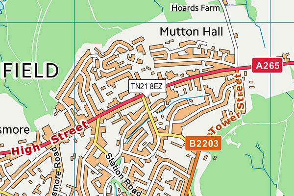 TN21 8EZ map - OS VectorMap District (Ordnance Survey) TN21 8EZ map - OS VectorMap District (Ordnance Survey)
