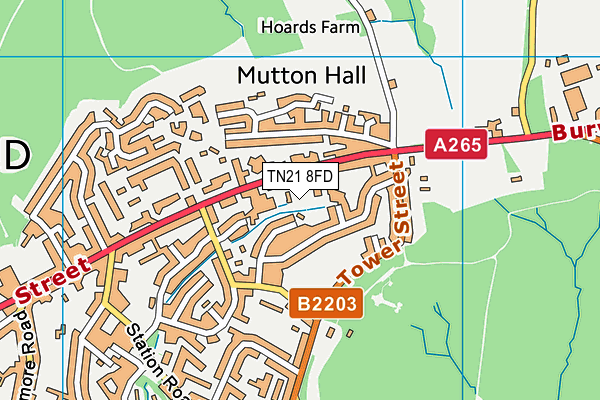 TN21 8FD map - OS VectorMap District (Ordnance Survey) TN21 8FD map - OS VectorMap District (Ordnance Survey)