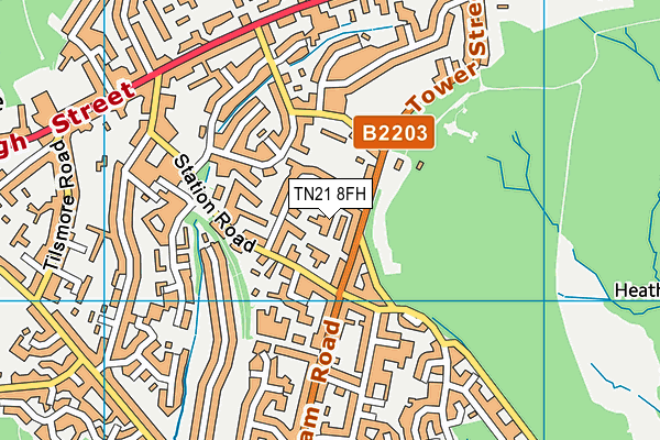 TN21 8FH map - OS VectorMap District (Ordnance Survey) TN21 8FH map - OS VectorMap District (Ordnance Survey)