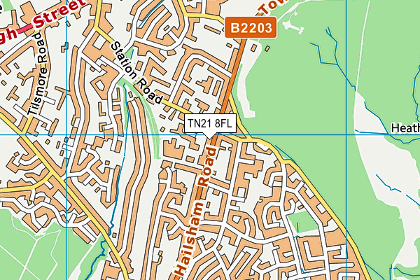 TN21 8FL map - OS VectorMap District (Ordnance Survey) TN21 8FL map - OS VectorMap District (Ordnance Survey)
