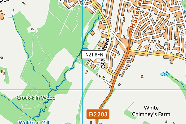 TN21 8FN map - OS VectorMap District (Ordnance Survey) TN21 8FN map - OS VectorMap District (Ordnance Survey)