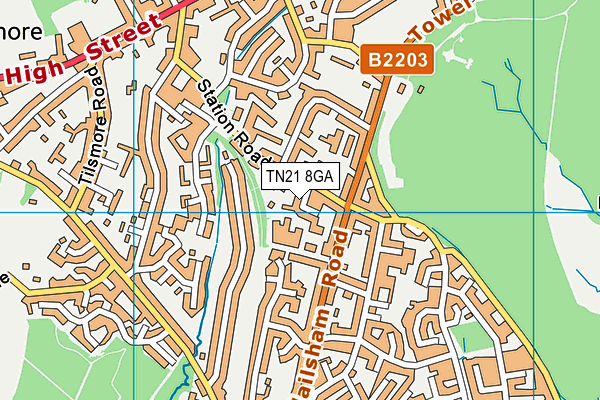 TN21 8GA map - OS VectorMap District (Ordnance Survey) TN21 8GA map - OS VectorMap District (Ordnance Survey)