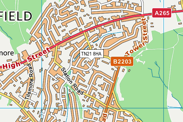 TN21 8HA map - OS VectorMap District (Ordnance Survey) TN21 8HA map - OS VectorMap District (Ordnance Survey)