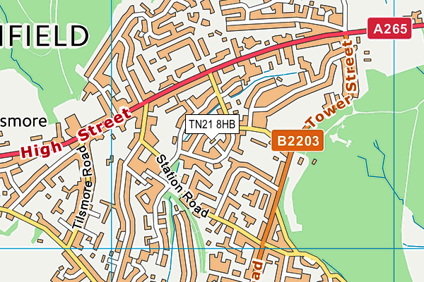 TN21 8HB map - OS VectorMap District (Ordnance Survey) TN21 8HB map - OS VectorMap District (Ordnance Survey)