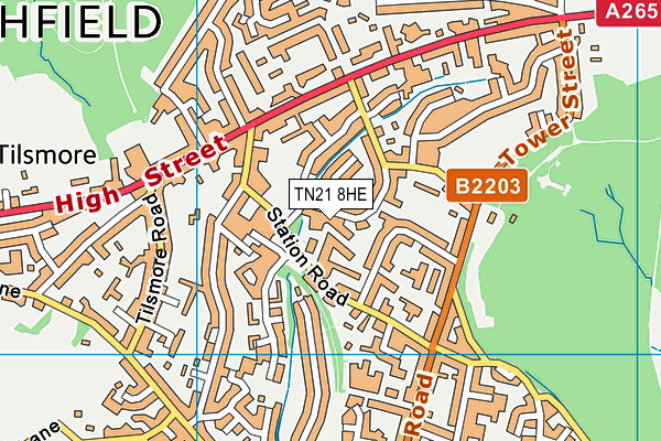TN21 8HE map - OS VectorMap District (Ordnance Survey) TN21 8HE map - OS VectorMap District (Ordnance Survey)
