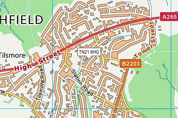 TN21 8HG map - OS VectorMap District (Ordnance Survey) TN21 8HG map - OS VectorMap District (Ordnance Survey)
