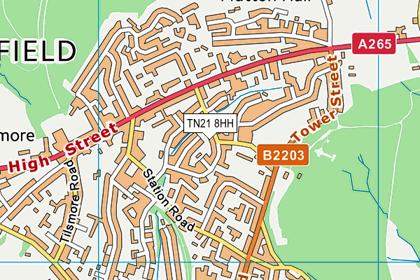 TN21 8HH map - OS VectorMap District (Ordnance Survey) TN21 8HH map - OS VectorMap District (Ordnance Survey)