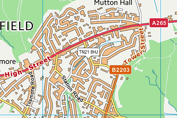 TN21 8HJ map - OS VectorMap District (Ordnance Survey) TN21 8HJ map - OS VectorMap District (Ordnance Survey)