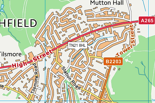 TN21 8HL map - OS VectorMap District (Ordnance Survey)