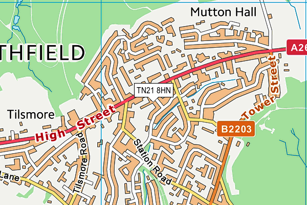 TN21 8HN map - OS VectorMap District (Ordnance Survey) TN21 8HN map - OS VectorMap District (Ordnance Survey)