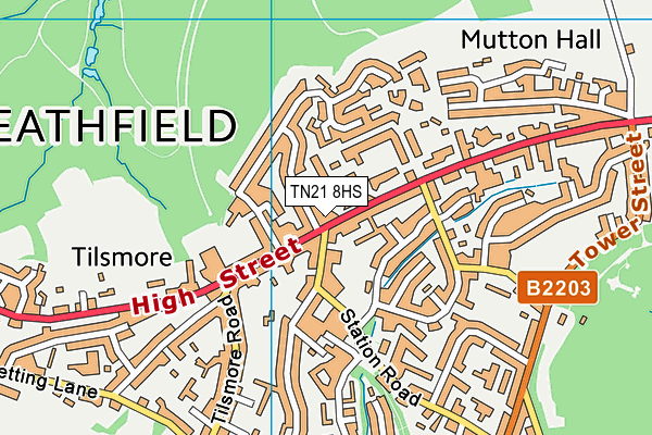 TN21 8HS map - OS VectorMap District (Ordnance Survey) TN21 8HS map - OS VectorMap District (Ordnance Survey)