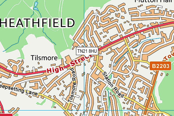 TN21 8HU map - OS VectorMap District (Ordnance Survey) TN21 8HU map - OS VectorMap District (Ordnance Survey)
