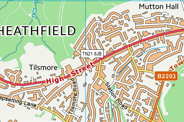 TN21 8JB map - OS VectorMap District (Ordnance Survey) TN21 8JB map - OS VectorMap District (Ordnance Survey)