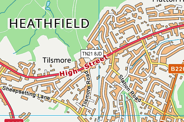 TN21 8JD map - OS VectorMap District (Ordnance Survey) TN21 8JD map - OS VectorMap District (Ordnance Survey)