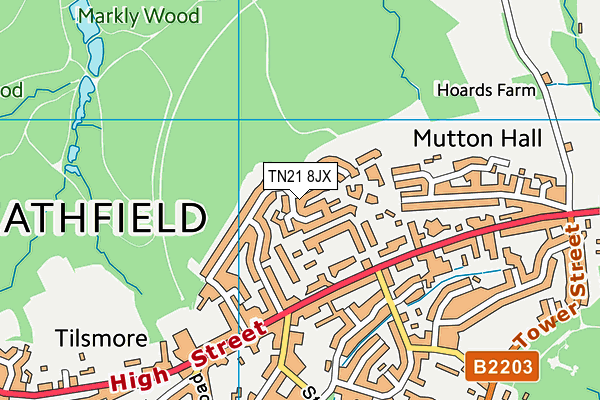 TN21 8JX map - OS VectorMap District (Ordnance Survey)