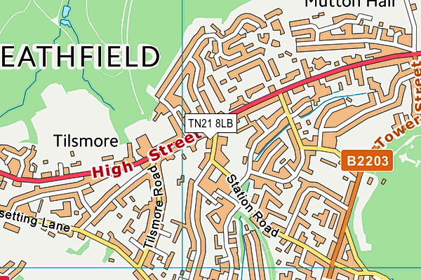 TN21 8LB map - OS VectorMap District (Ordnance Survey) TN21 8LB map - OS VectorMap District (Ordnance Survey)