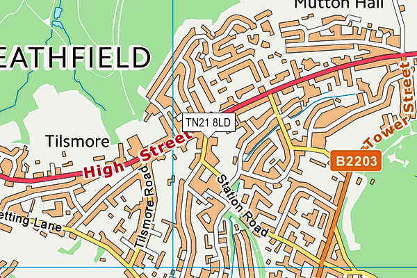 TN21 8LD map - OS VectorMap District (Ordnance Survey) TN21 8LD map - OS VectorMap District (Ordnance Survey)