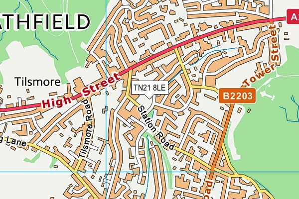 TN21 8LE map - OS VectorMap District (Ordnance Survey) TN21 8LE map - OS VectorMap District (Ordnance Survey)