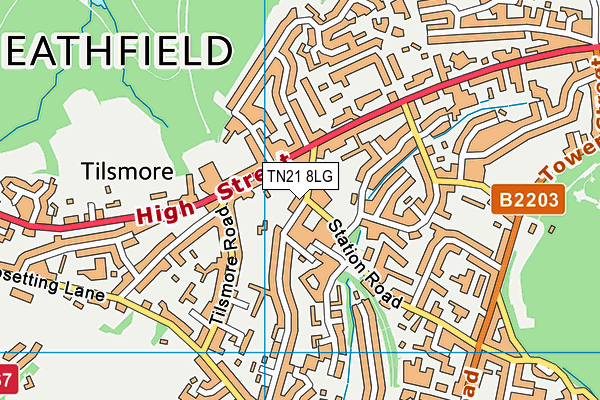 TN21 8LG map - OS VectorMap District (Ordnance Survey) TN21 8LG map - OS VectorMap District (Ordnance Survey)