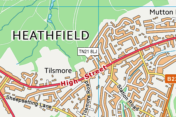 TN21 8LJ map - OS VectorMap District (Ordnance Survey) TN21 8LJ map - OS VectorMap District (Ordnance Survey)