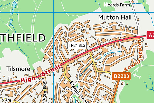 TN21 8LS map - OS VectorMap District (Ordnance Survey) TN21 8LS map - OS VectorMap District (Ordnance Survey)