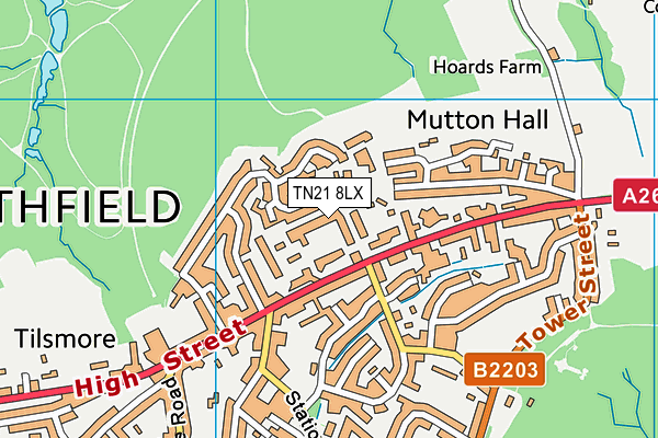 TN21 8LX map - OS VectorMap District (Ordnance Survey) TN21 8LX map - OS VectorMap District (Ordnance Survey)