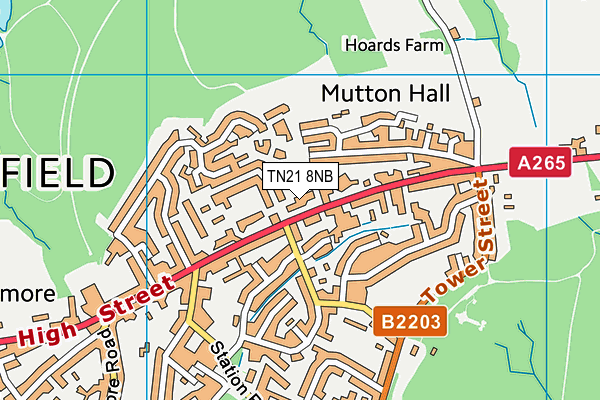 TN21 8NB map - OS VectorMap District (Ordnance Survey) TN21 8NB map - OS VectorMap District (Ordnance Survey)