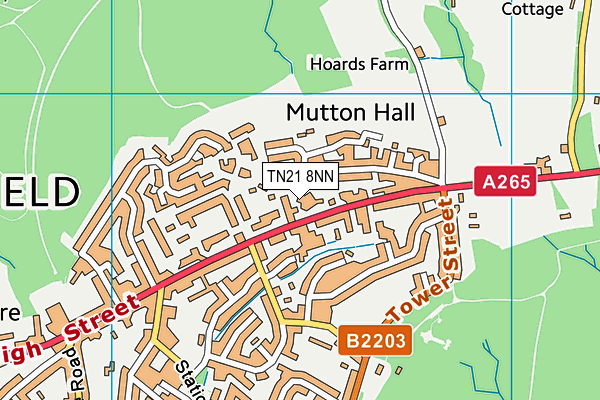 TN21 8NN map - OS VectorMap District (Ordnance Survey) TN21 8NN map - OS VectorMap District (Ordnance Survey)