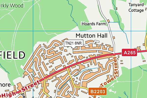 TN21 8NR map - OS VectorMap District (Ordnance Survey)