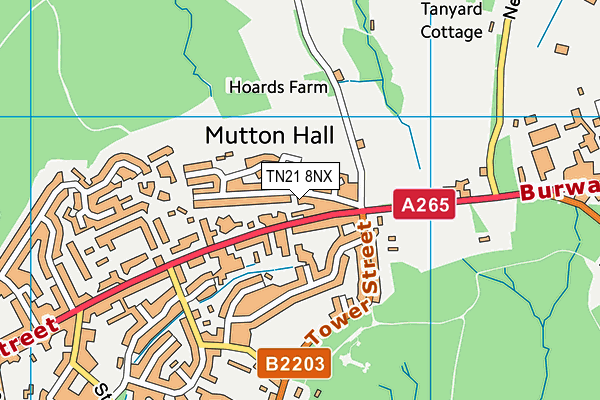 TN21 8NX map - OS VectorMap District (Ordnance Survey) TN21 8NX map - OS VectorMap District (Ordnance Survey)