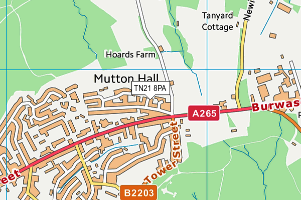 TN21 8PA map - OS VectorMap District (Ordnance Survey) TN21 8PA map - OS VectorMap District (Ordnance Survey)