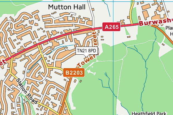 TN21 8PD map - OS VectorMap District (Ordnance Survey) TN21 8PD map - OS VectorMap District (Ordnance Survey)