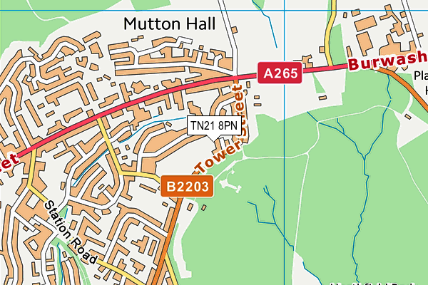 TN21 8PN map - OS VectorMap District (Ordnance Survey) TN21 8PN map - OS VectorMap District (Ordnance Survey)
