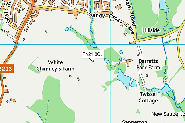 TN21 8QJ map - OS VectorMap District (Ordnance Survey) TN21 8QJ map - OS VectorMap District (Ordnance Survey)