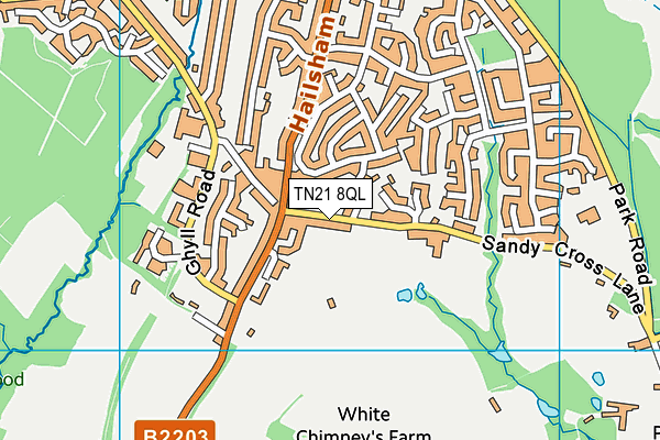 TN21 8QL map - OS VectorMap District (Ordnance Survey) TN21 8QL map - OS VectorMap District (Ordnance Survey)
