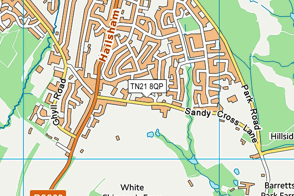 TN21 8QP map - OS VectorMap District (Ordnance Survey) TN21 8QP map - OS VectorMap District (Ordnance Survey)