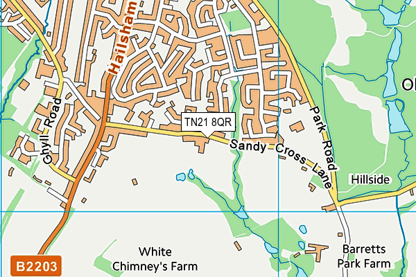 TN21 8QR map - OS VectorMap District (Ordnance Survey) TN21 8QR map - OS VectorMap District (Ordnance Survey)