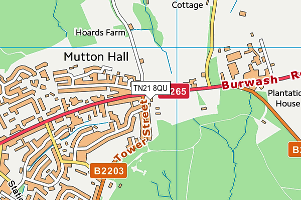 TN21 8QU map - OS VectorMap District (Ordnance Survey)