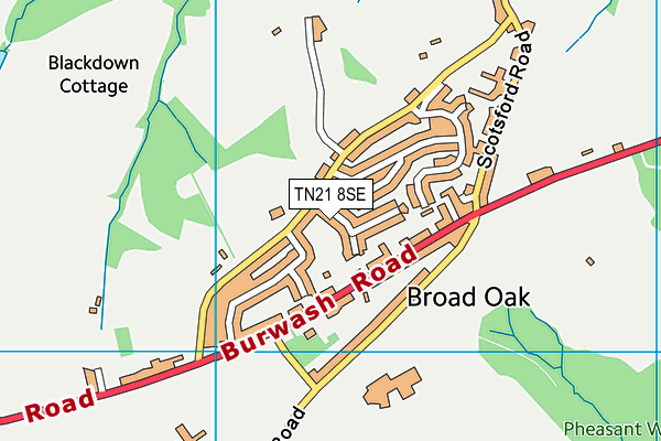 TN21 8SE map - OS VectorMap District (Ordnance Survey) TN21 8SE map - OS VectorMap District (Ordnance Survey)