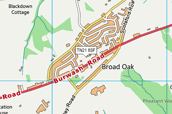 TN21 8SF map - OS VectorMap District (Ordnance Survey) TN21 8SF map - OS VectorMap District (Ordnance Survey)