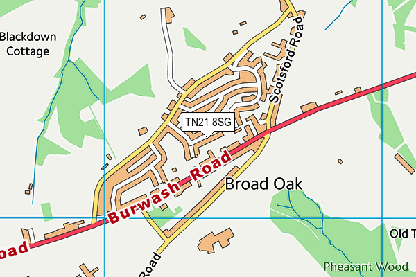 TN21 8SG map - OS VectorMap District (Ordnance Survey) TN21 8SG map - OS VectorMap District (Ordnance Survey)