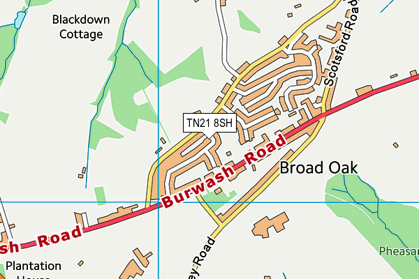 TN21 8SH map - OS VectorMap District (Ordnance Survey) TN21 8SH map - OS VectorMap District (Ordnance Survey)
